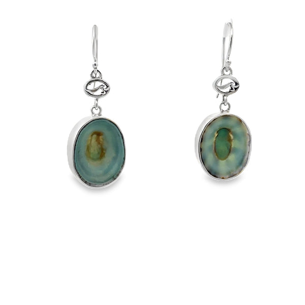 Mexican Green Limpet Earrings - Ocean Soul