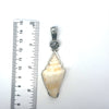 Milk Conch OS Carved Bail Pendant - Ocean Soul