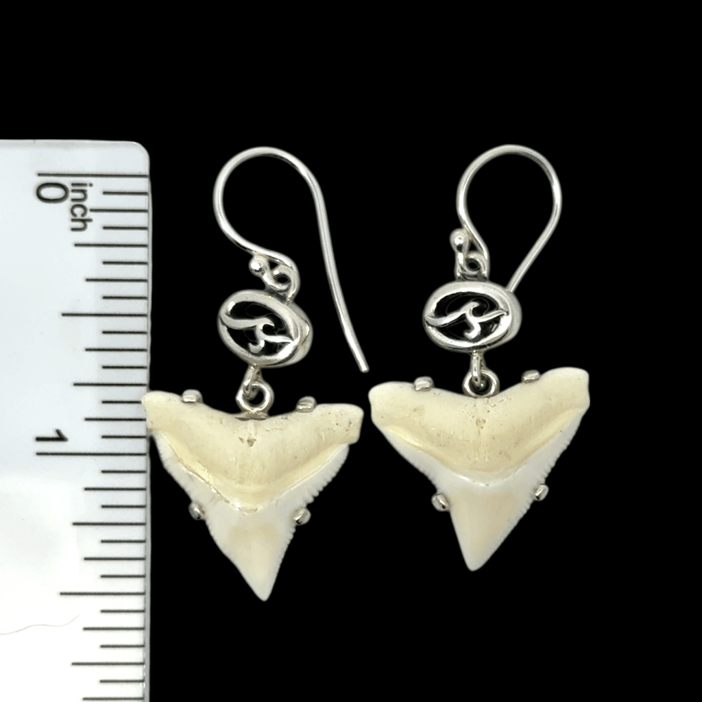 Modern Bull Shark Prong Set Earrings - Ocean Soul