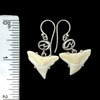 Modern Bull Shark Prong Set Earrings - Ocean Soul