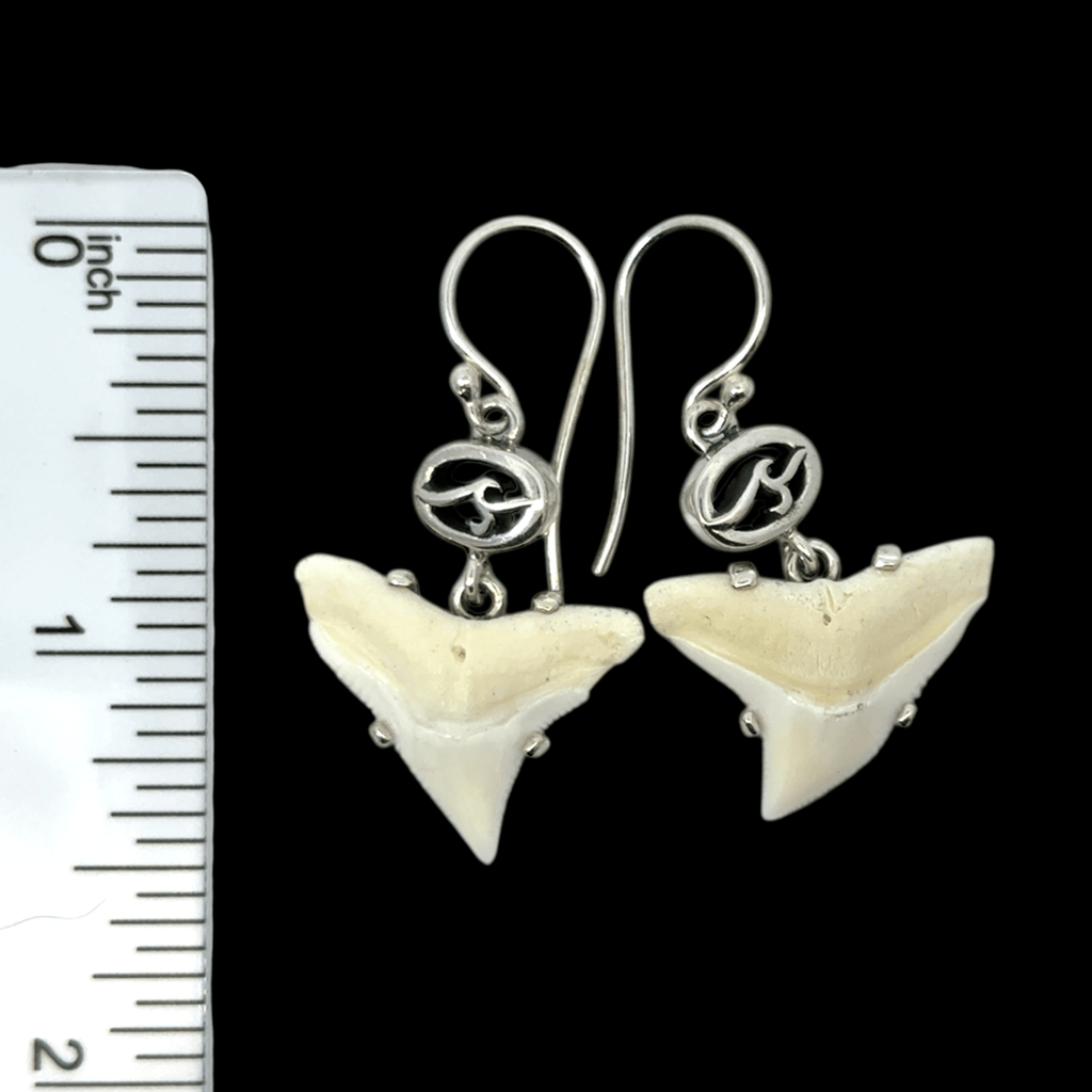 Modern Bull Shark Prong Set Earrings - Ocean Soul
