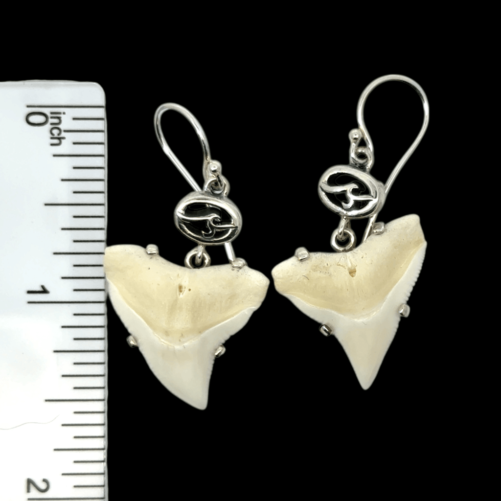 Modern Bull Shark Prong Set Earrings - Ocean Soul