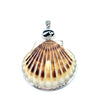 Nantucket Scallop Pendant - Ocean Soul