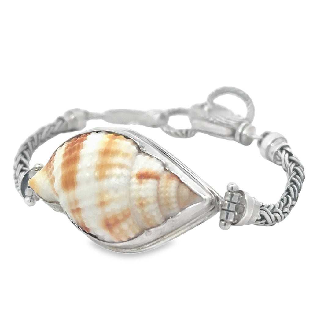 Nutmeg Shell On Thin Romano Chain Bracelet - Ocean Soul