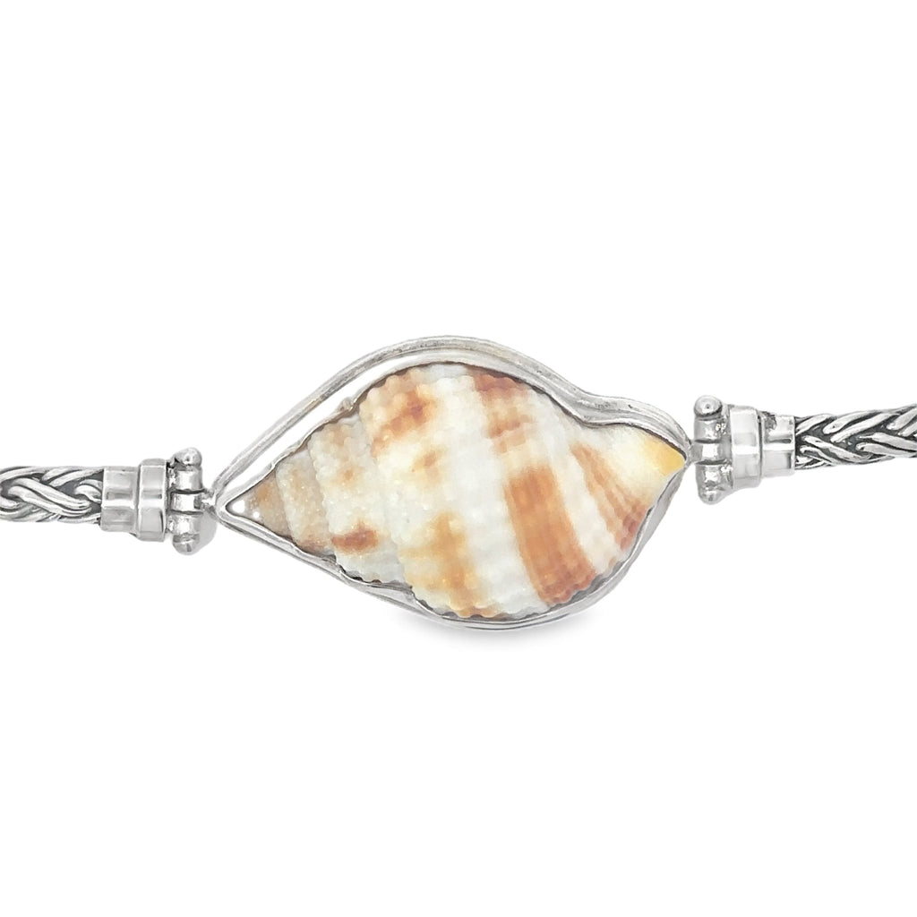 Nutmeg Shell On Thin Romano Chain Bracelet - Ocean Soul