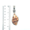 Nutmeg Shell OS Carved Bail Pendant - Ocean Soul