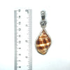 Nutmeg Shell OS Carved Bail Pendant - Ocean Soul