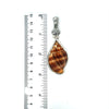 Nutmeg Shell OS Carved Bail Pendant - Ocean Soul