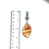 Nutmeg Shell OS Carved Bail Pendant - Ocean Soul