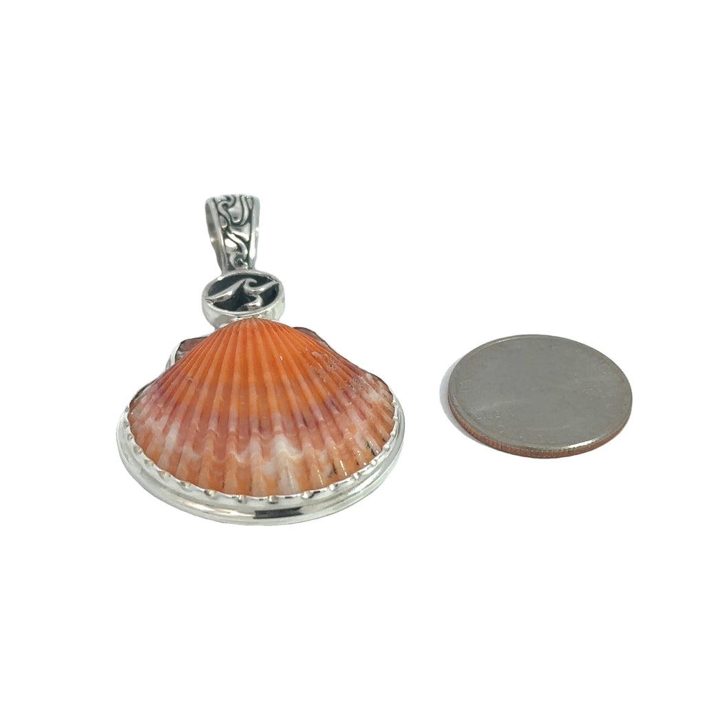 Orange Callico Scallop Necklace Pendant - Ocean Soul