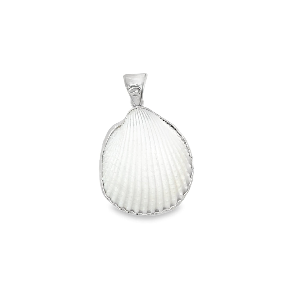 Rare Albino Cockle Pendant - Ocean Soul