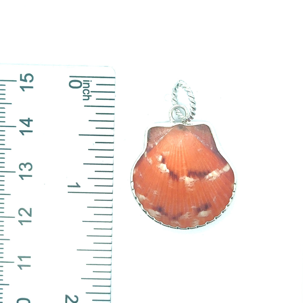 Seashell Mini Pendants - Ocean Soul