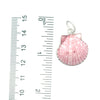 Seashell Mini Pendants - Ocean Soul