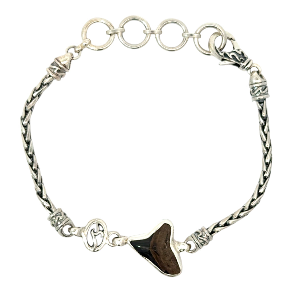 Shark Tooth Dainty Link Adjustable Bracelet - Ocean Soul