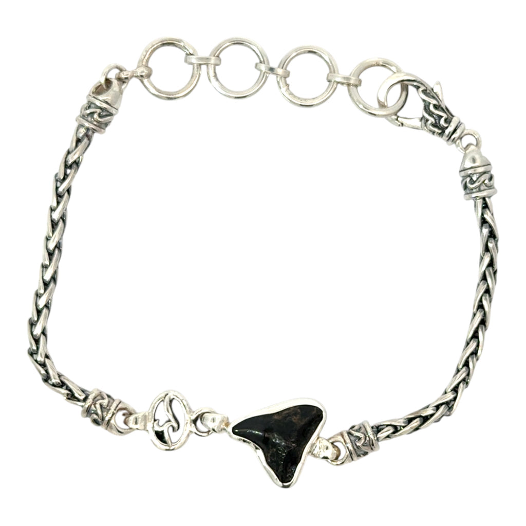 Shark Tooth Dainty Link Adjustable Bracelet - Ocean Soul