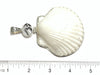 Albino Scallop Pendant - Ocean Soul