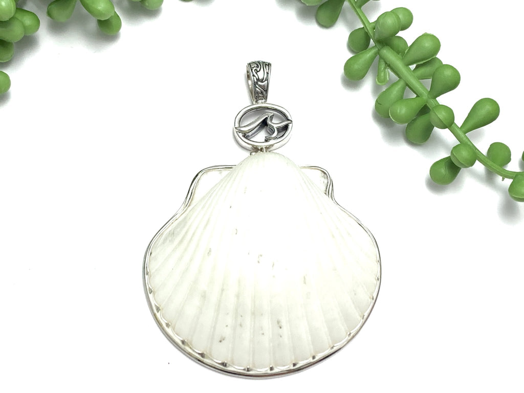 Albino Scallop Pendant - Ocean Soul