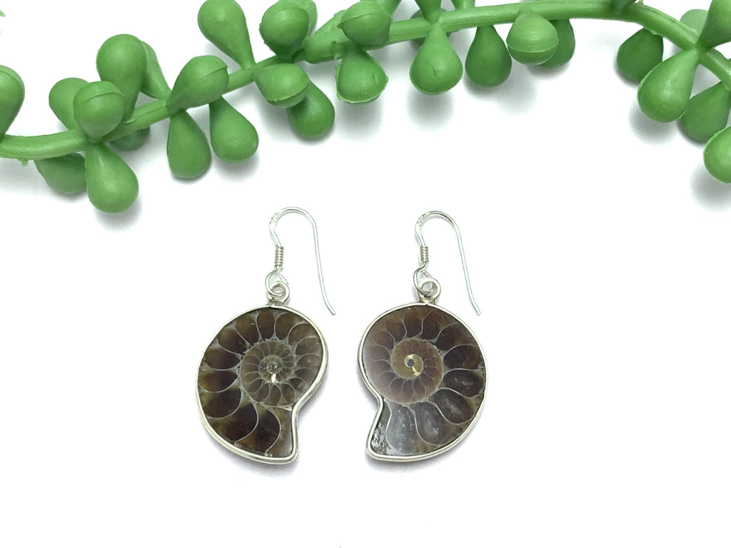 Ammonite Earrings - Ocean Soul