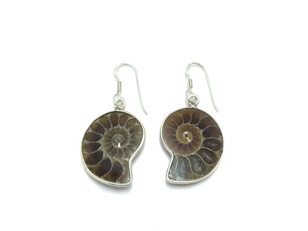 Ammonite Earrings - Ocean Soul