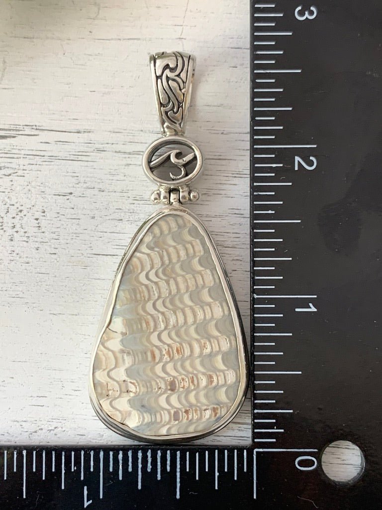 Anadara Fossil Pendant with Hand-carved bail and logo - Ocean Soul