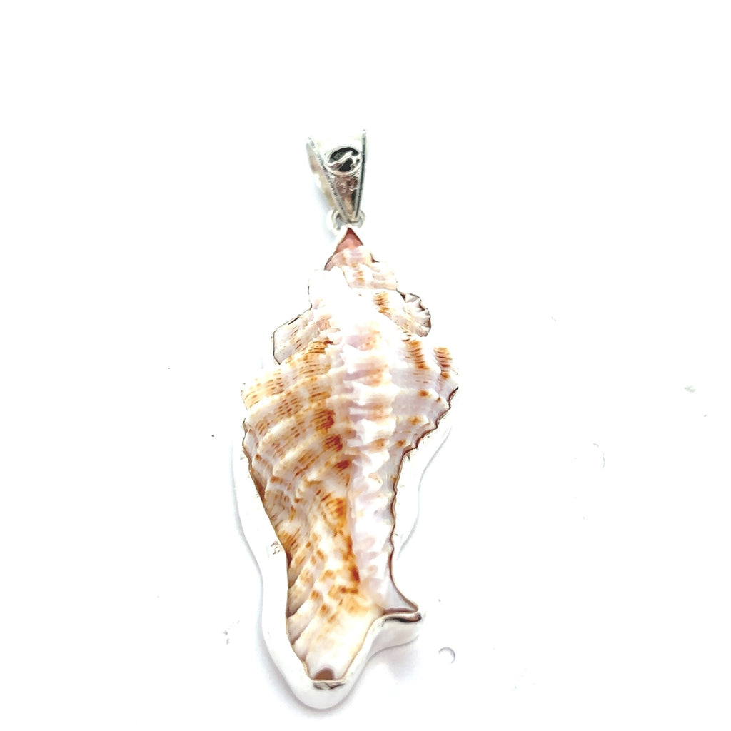 Apple Murex Pendant - Ocean Soul