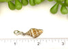 Baby Beige and White Florida Fighting Conch Charm - Ocean Soul