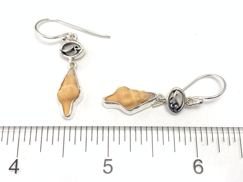 Baby Horse Conch Earrings - Ocean Soul