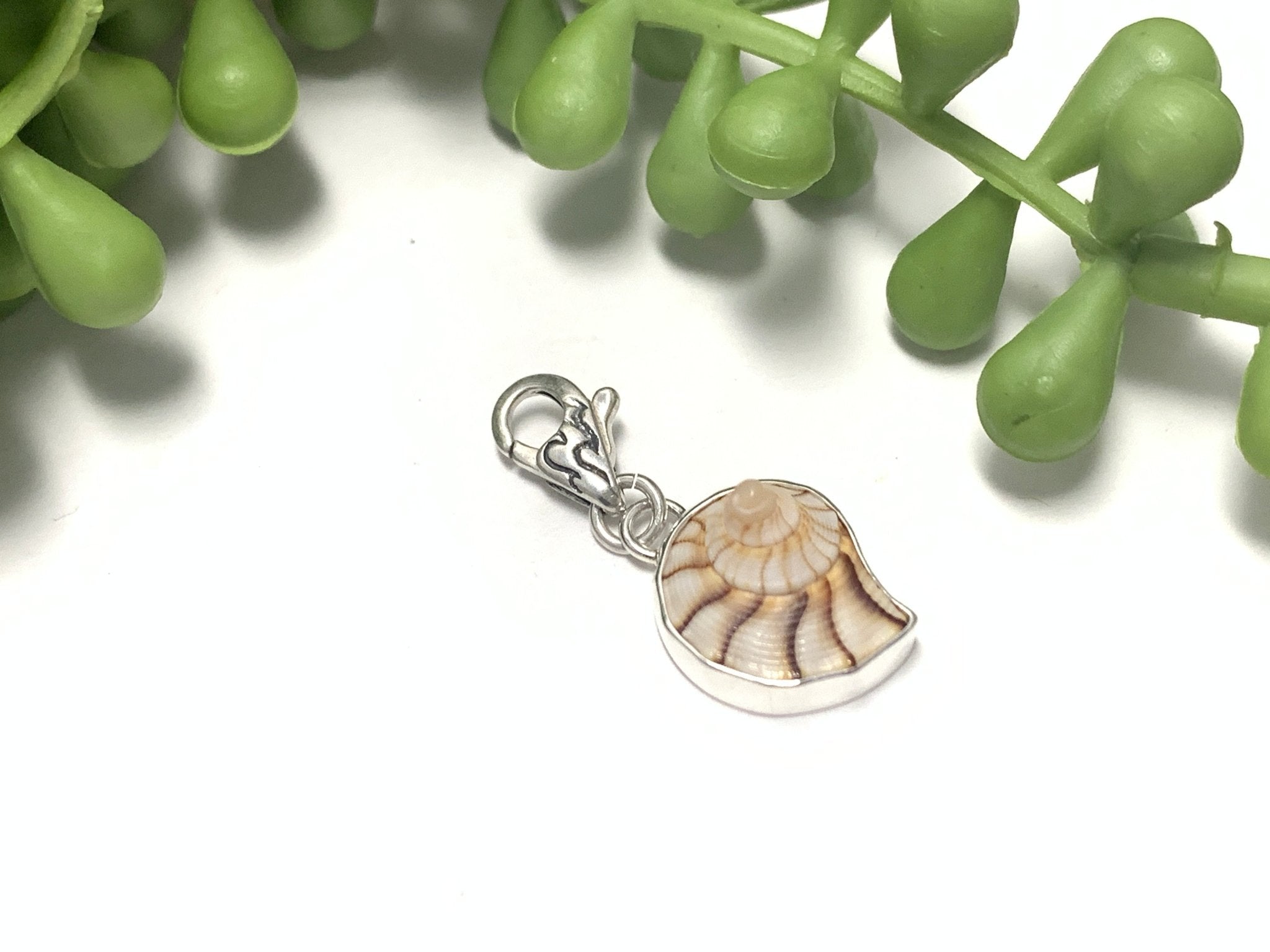 Baby Lightning Whelk Charm – Ocean Soul