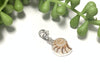 Baby Lightning Whelk Charm - Ocean Soul