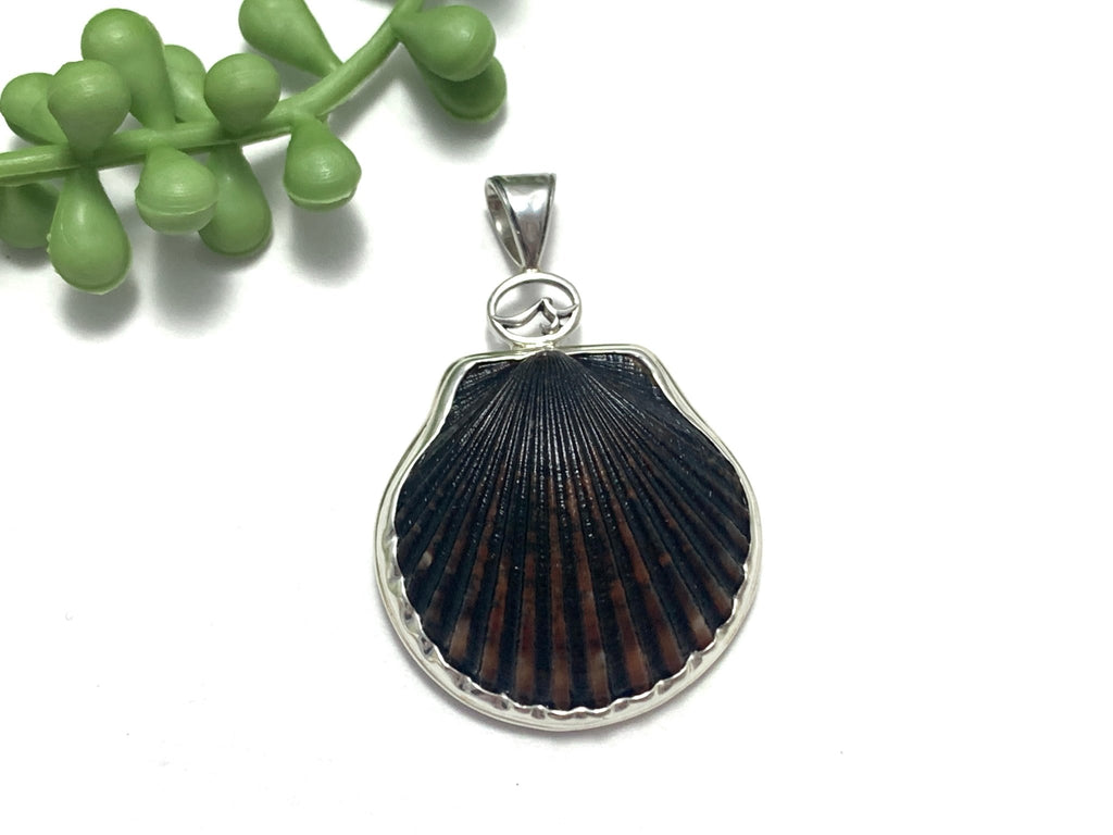 Black Scallop with Logo and Hammered Bail - Ocean Soul