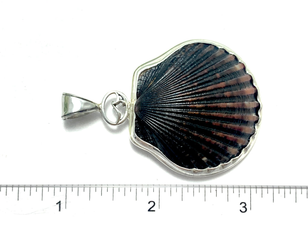 Black Scallop with Logo and Hammered Bail - Ocean Soul
