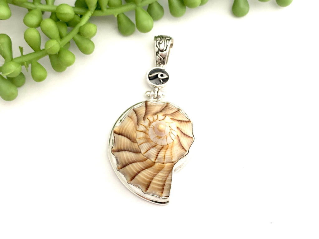 Brilliant Lightning Whelk Pendant with OS Logo and Carved Bail - Ocean Soul