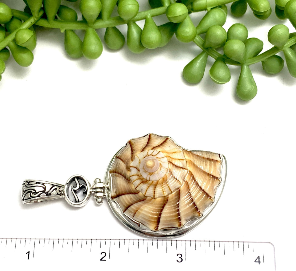 Brilliant Lightning Whelk Pendant with OS Logo and Carved Bail - Ocean Soul