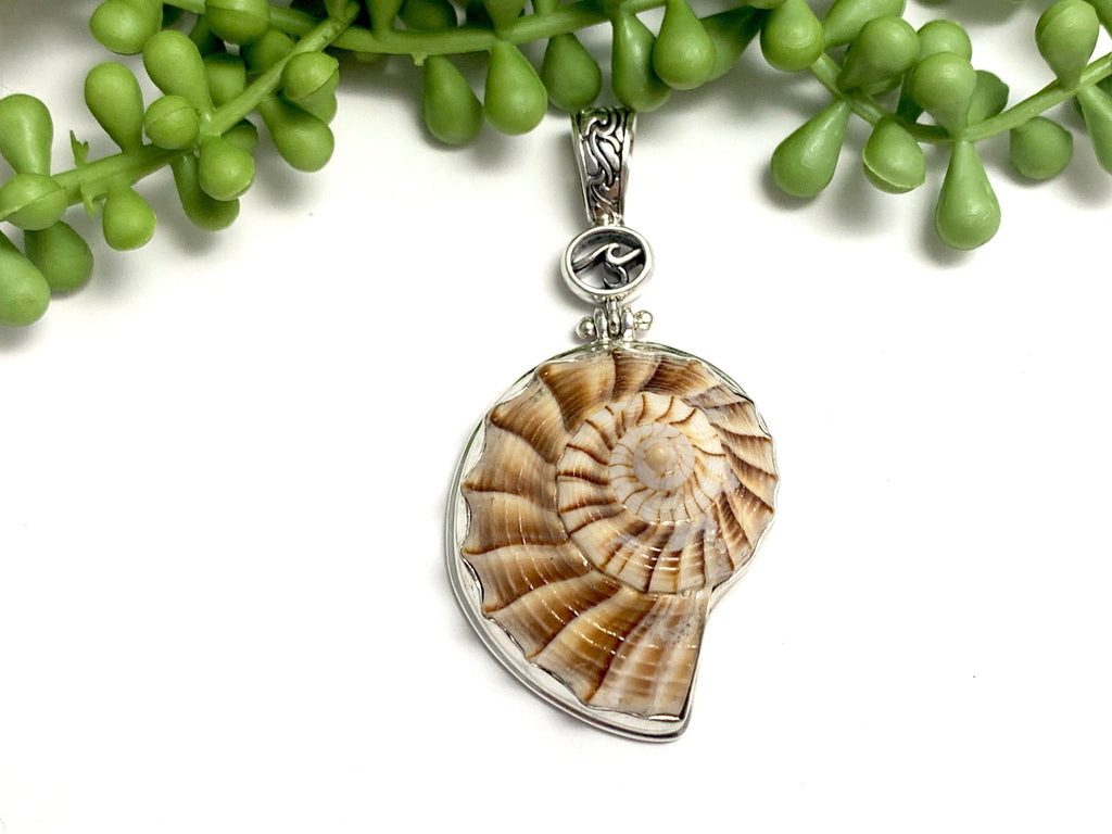 Chocolate Lightning Whelk Pendant with OS Logo and Carved Bail - Ocean Soul