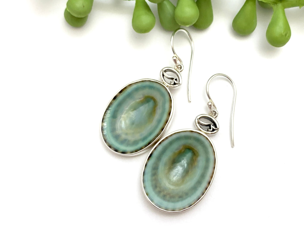 Colorful Limpet Earrings with OS Logo - Ocean Soul