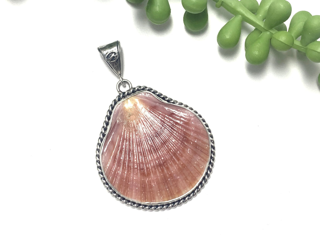 Flat Scallop Nautical Rope Pendant - Ocean Soul