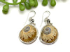 Gaudy Nautica Earrings - Ocean Soul