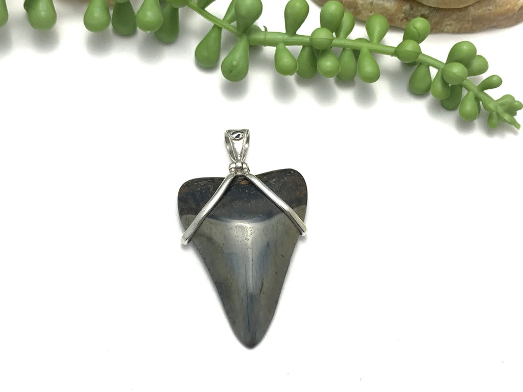 Great White Shark Tooth Wire Wrapped Pendant - Ocean Soul