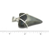 Great White Shark Tooth Wire Wrapped Pendant - Ocean Soul