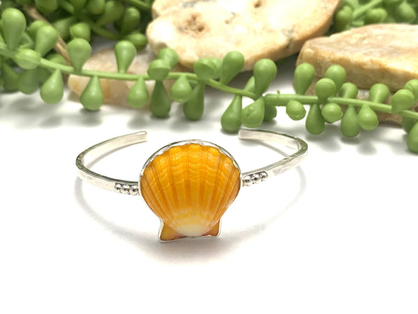 Hawaiian Sunrise Shell on Dotted Cuff - Ocean Soul