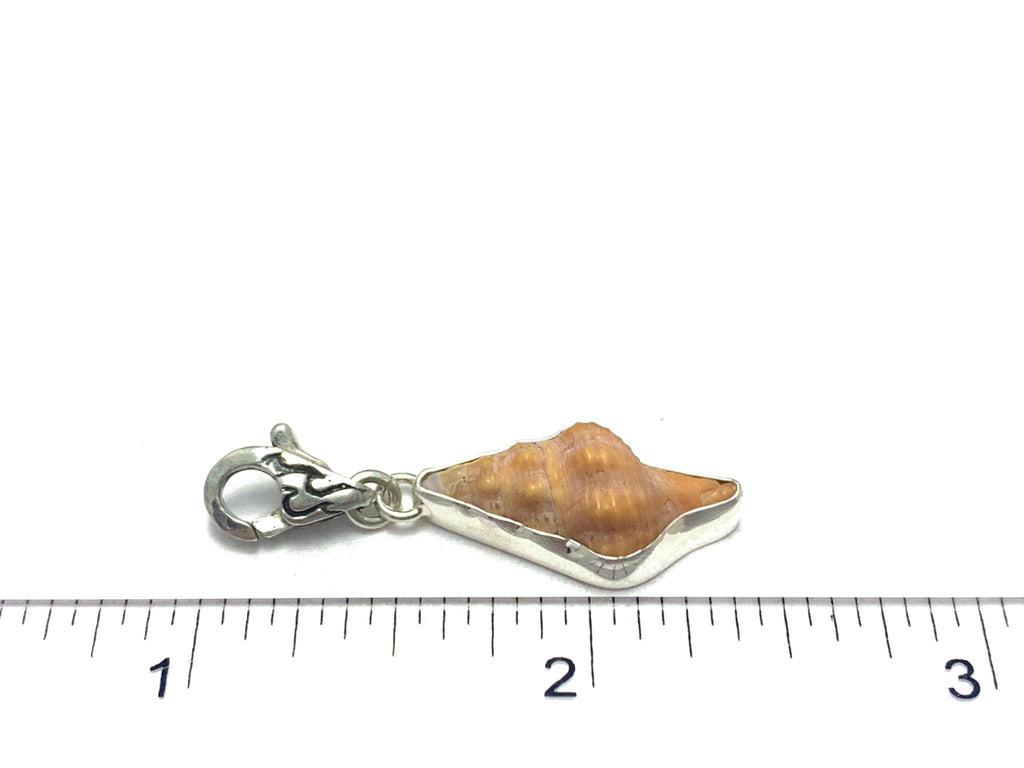 Horse Conch Charm - Ocean Soul