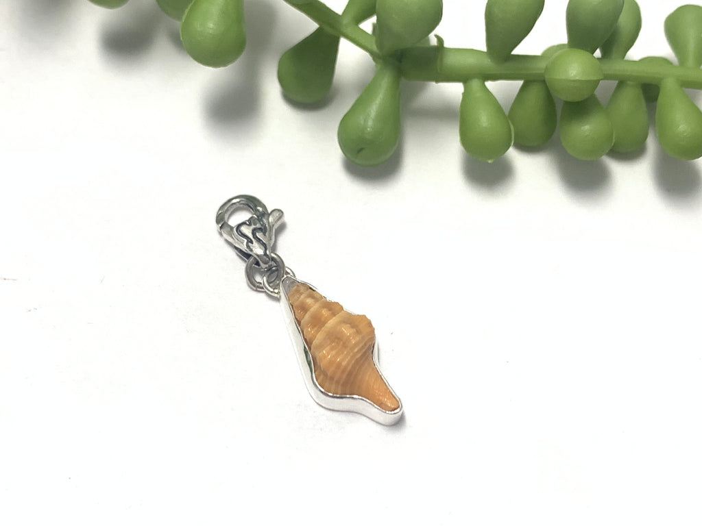 Horse Conch Charm - Ocean Soul