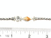 Juvenile Florida Fighting Conch on the Dainty Adjustable Bracelet - Ocean Soul