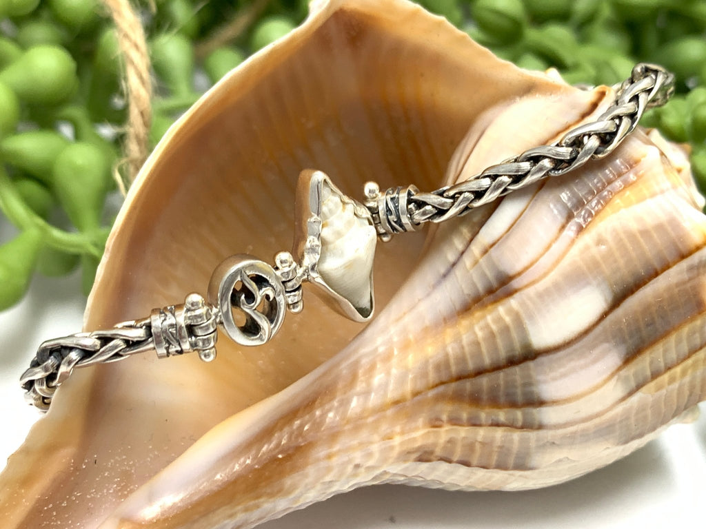 Juvenile Milk Conch on Dainty Adjustable Bracelet - Ocean Soul