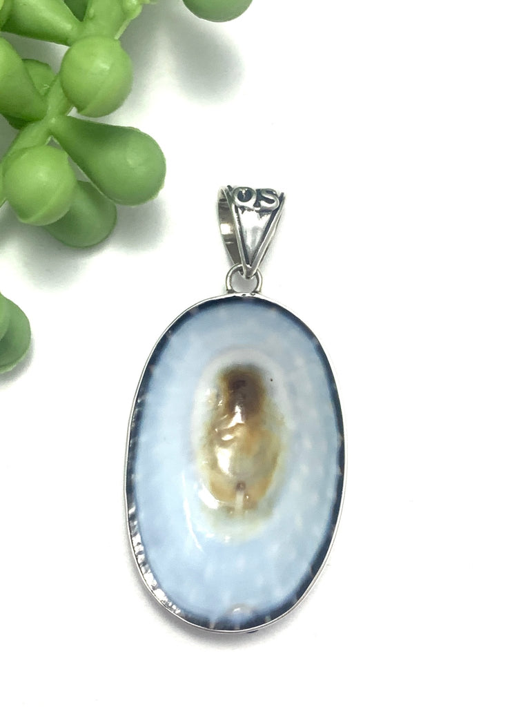 Light Aqua Limpet Pendant - Ocean Soul