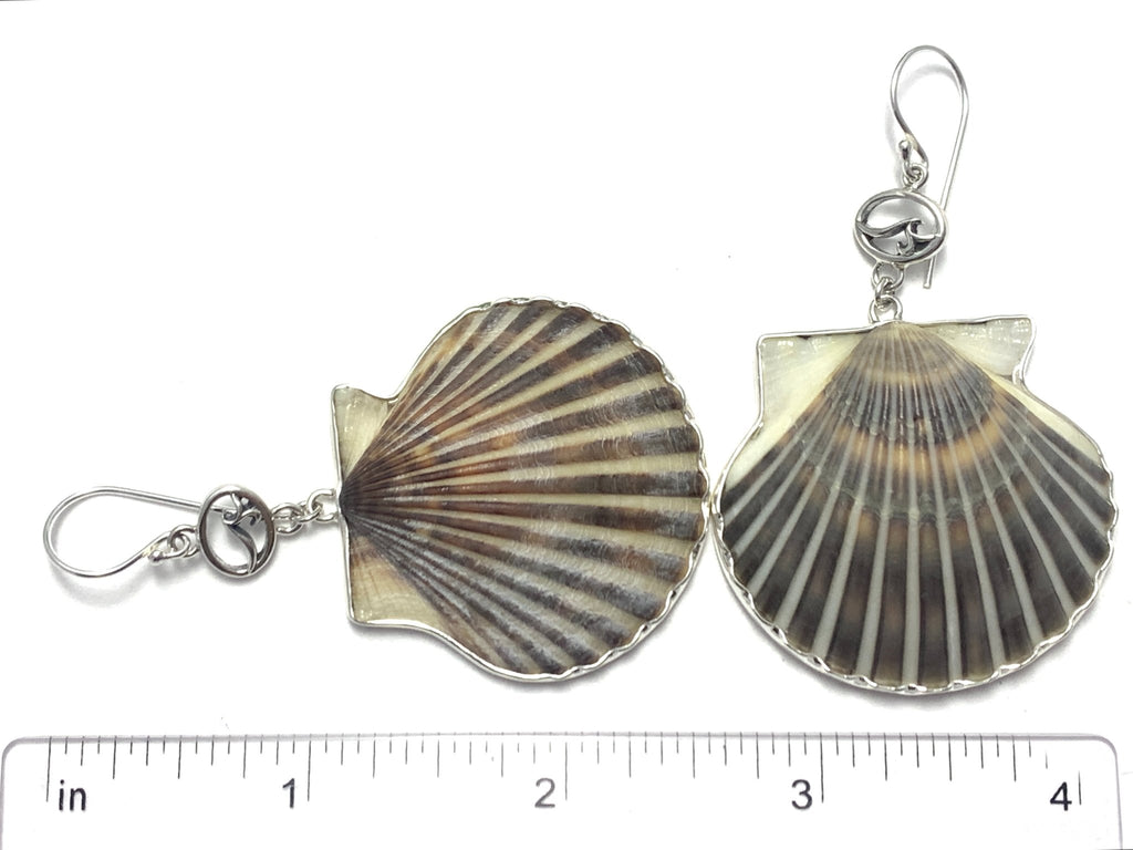 Nantucket Scallop Earrings - Ocean Soul