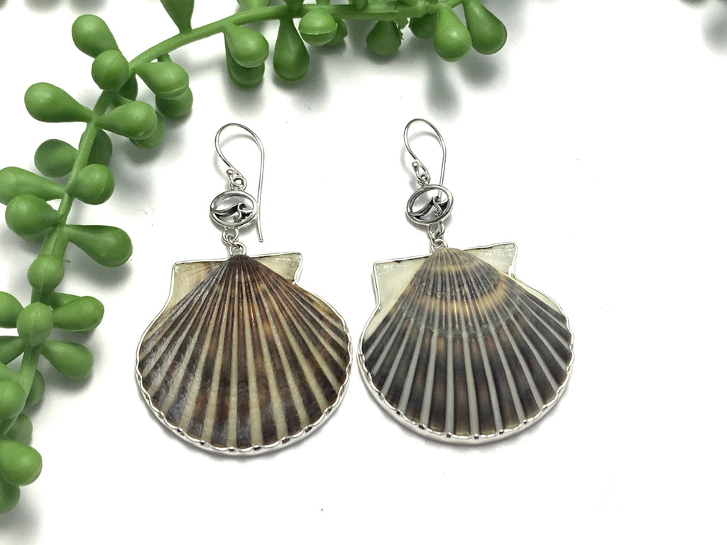 Nantucket Scallop Earrings - Ocean Soul