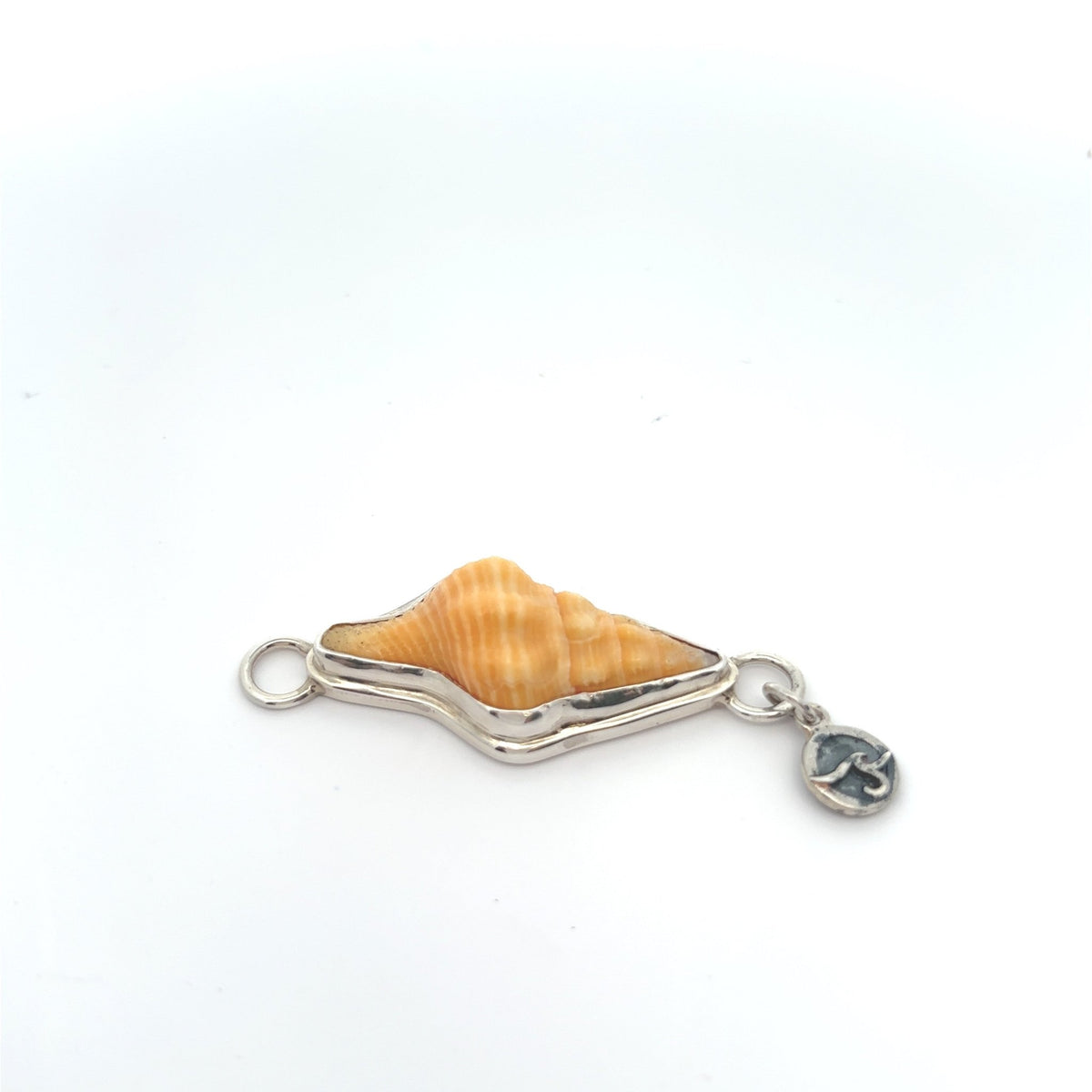 Orange Horse Conch Soul Center Ocean Soul