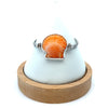 Orange Scallop on the Romano Adjustable Bracelet - Ocean Soul