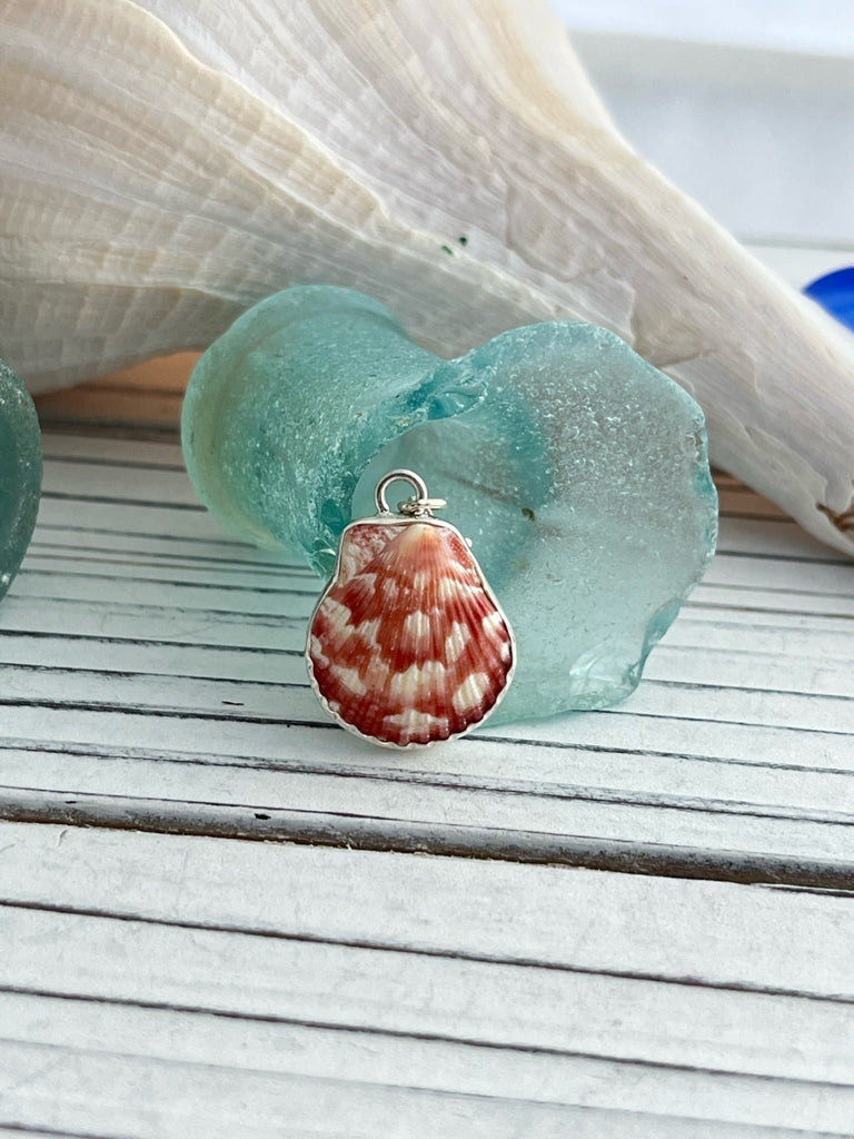 Raspberry and Cream Scallop Charm - Ocean Soul